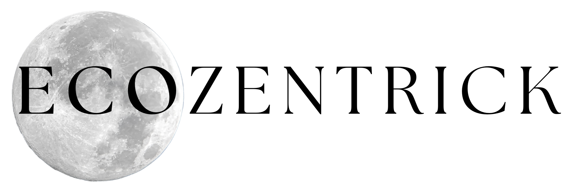 Ecozentrick.com